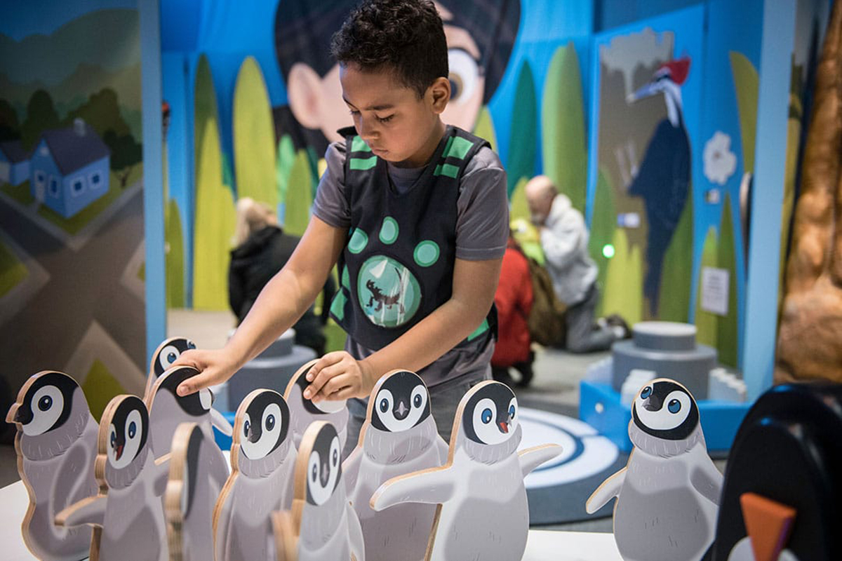 child playing with penguin game